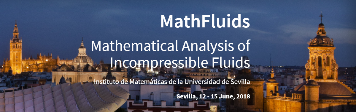 Mathematical Analysis in Incompressible Fluids (MathFluids)